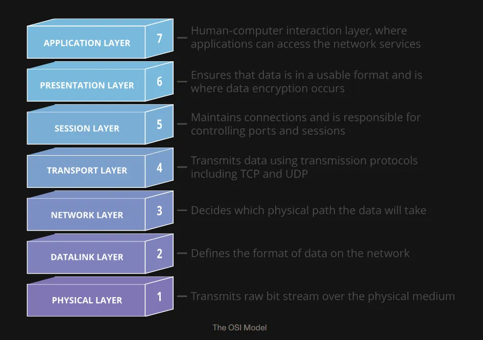 Illustration of interconnected computers in a network